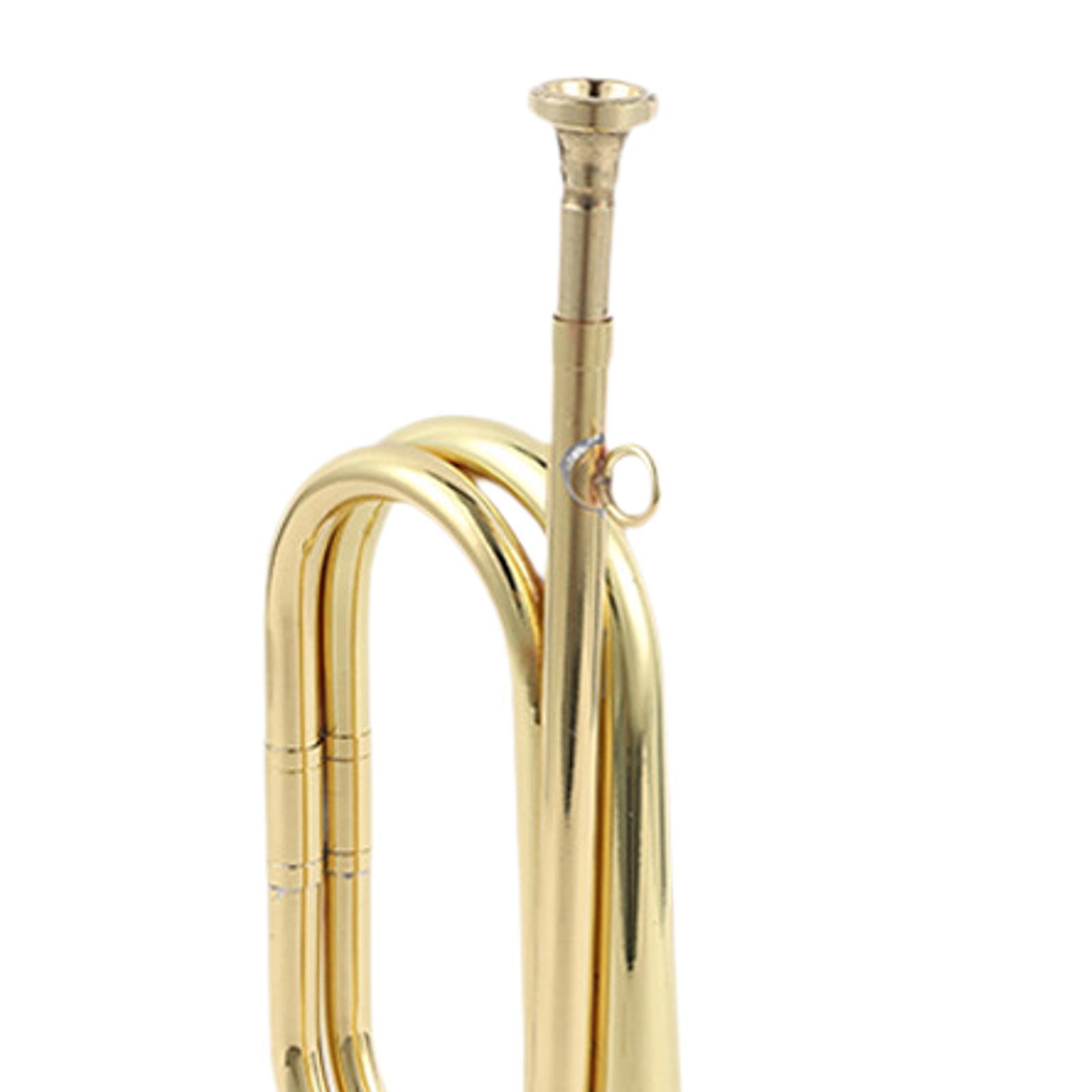 Trompete, Signalhorn, Musikins – Musical Instrument Bugle Bewertung und Preis